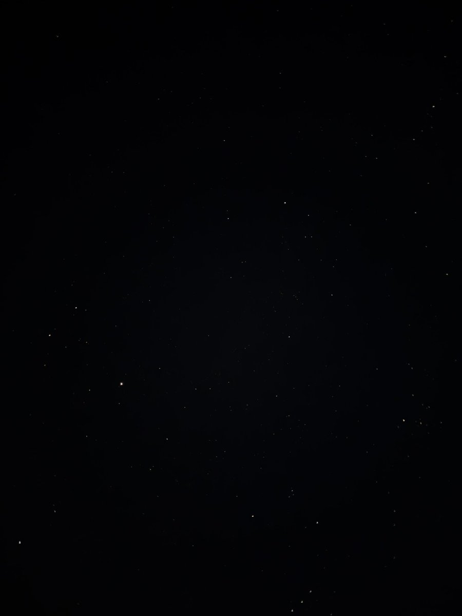 alex 👀 tweet media