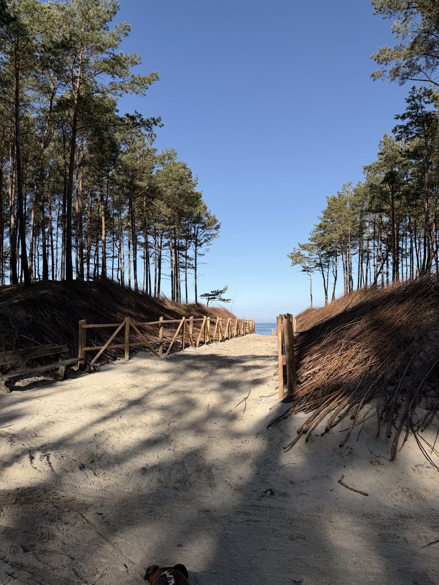 alex 👀 tweet media