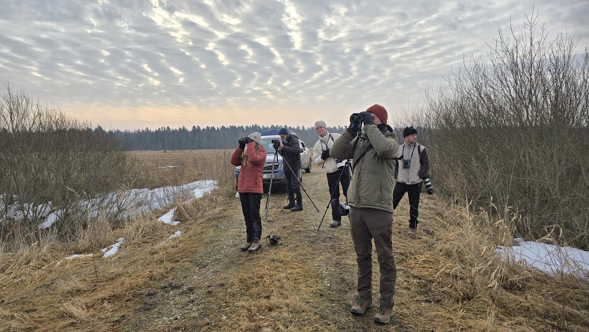 Toby Carter tweet media