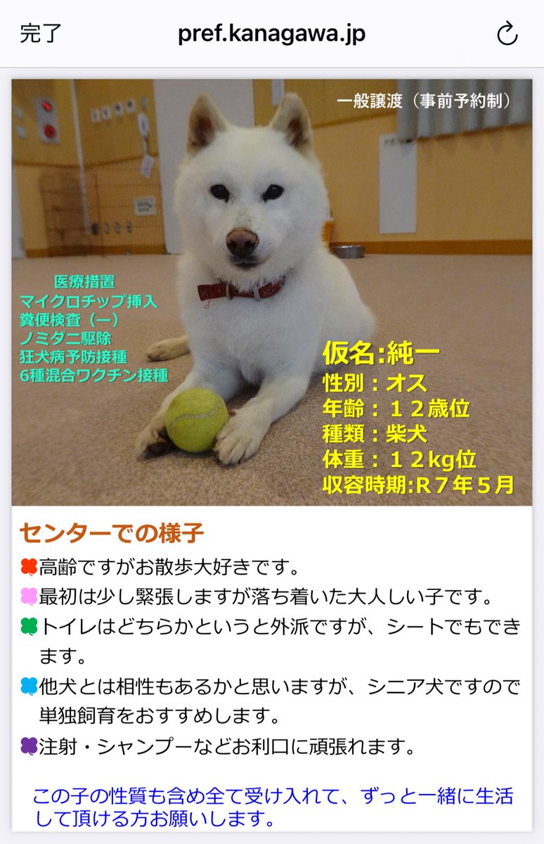 神奈川県動物愛護センターの譲渡対象犬を見てたけど、人間みたいな名前