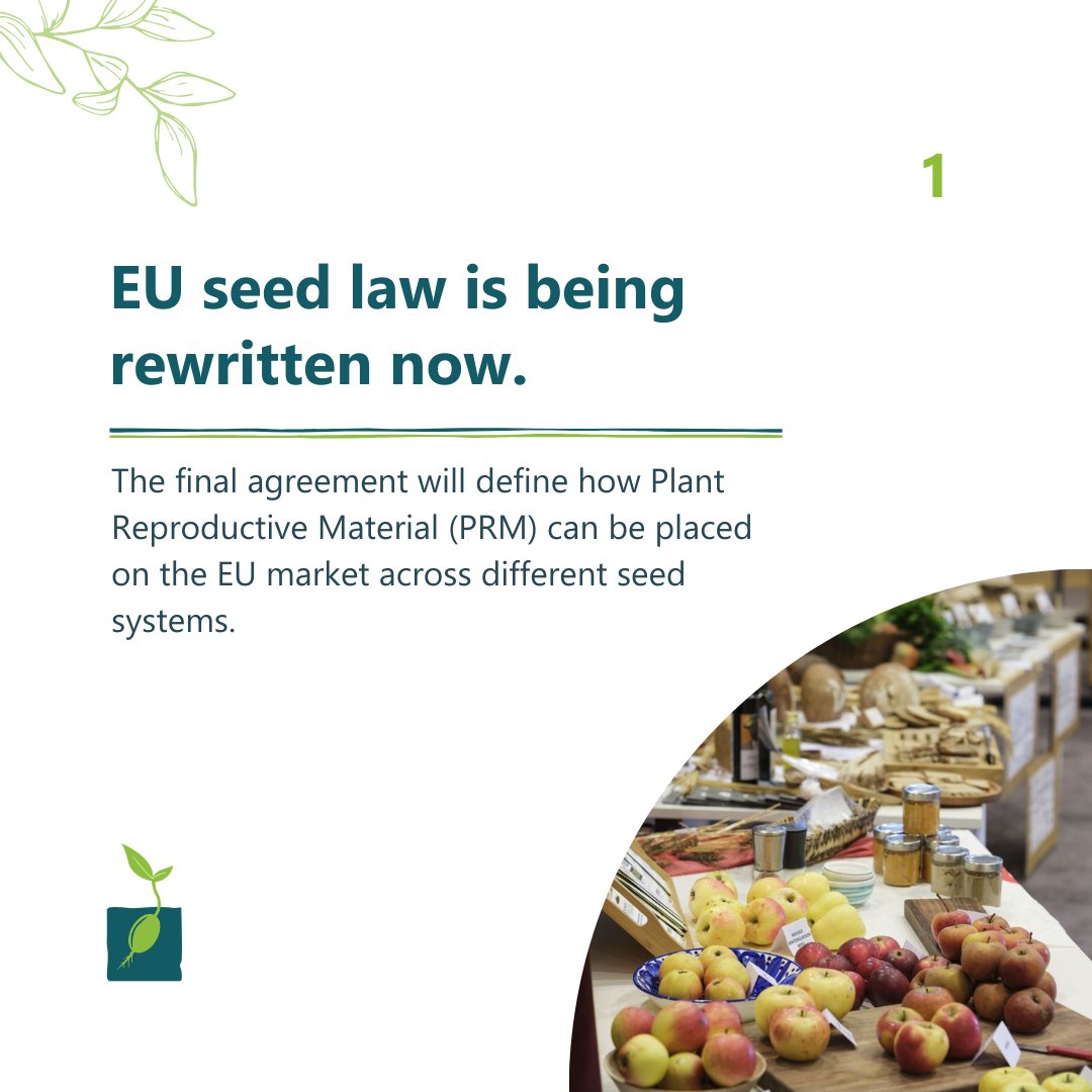 LiveSeeding tweet media