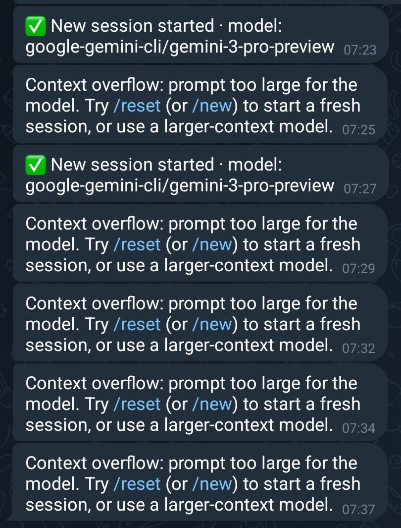 Context overflow screenshot