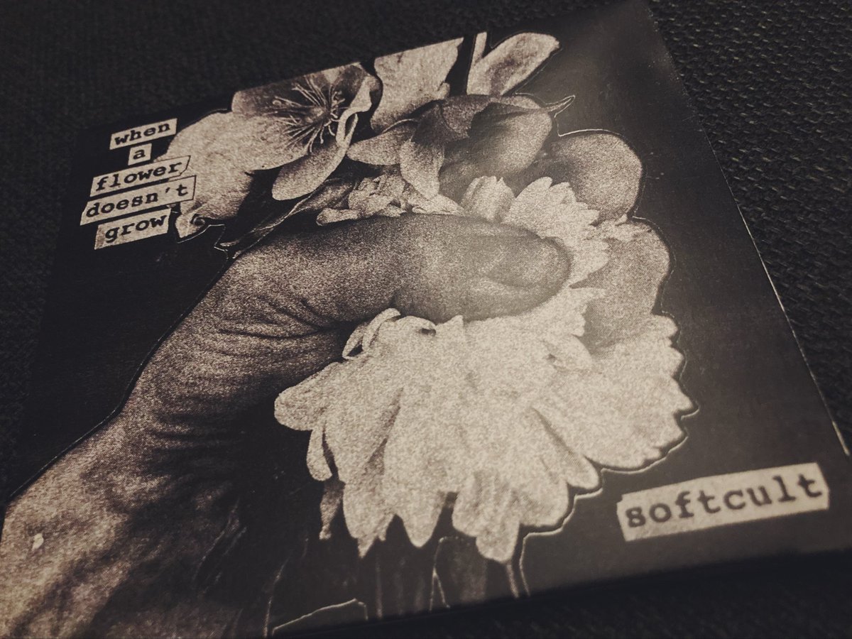 Softcult

最高だな

20年以上前から誰も知らないようなシューゲバンドも沢山探しては聴いて来たがこのバンドは頭一つ飛び抜けてると思う

ポストパンクやNew Wave、ビョークのPOSTやアルバムリーフとかも好きなんだろうなと思う曲もある

#Softcult