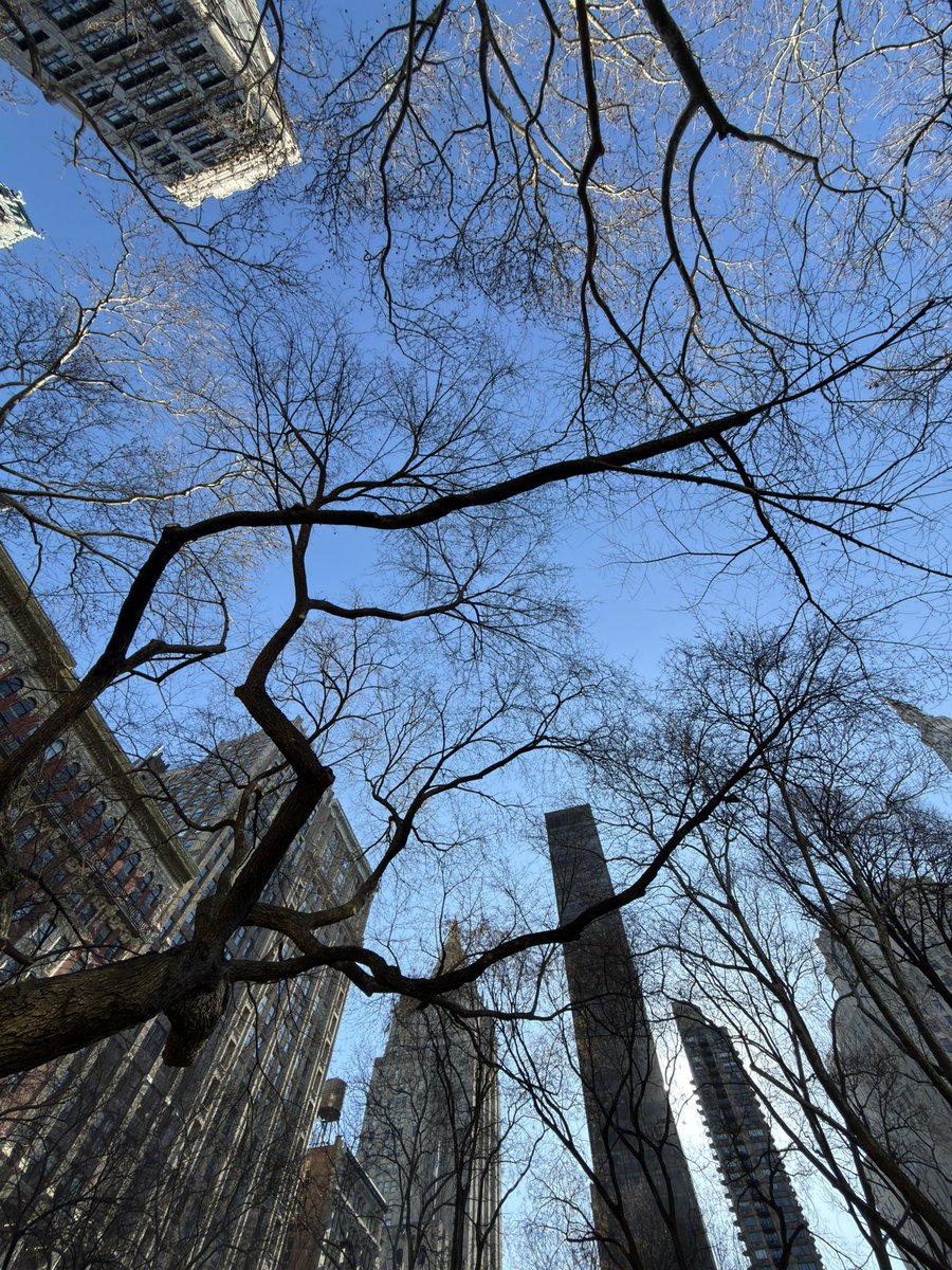 Saher💥 tweet media