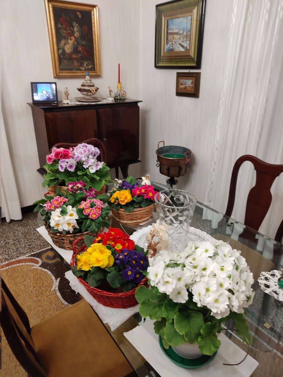 BonelloRoberto's tweet photo. Prima che la pioggia li rovini mettiamoli al riparo in casa https://t.co/JUE99cSP7t