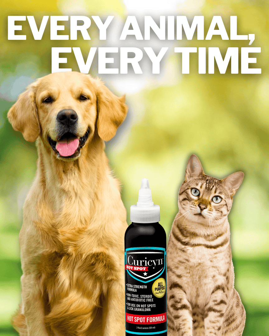 Curicynproducts's tweet photo. Skin irritation affects every species. Curicyn Hot Spot Formula targets itch, inflammation, and bacterial stress across pets, livestock, birds, reptiles, and more. Multi‑species care you can trust. https://t.co/Xz93DYncC4