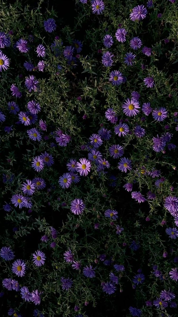 World Click (@worldclick56) on Twitter photo 