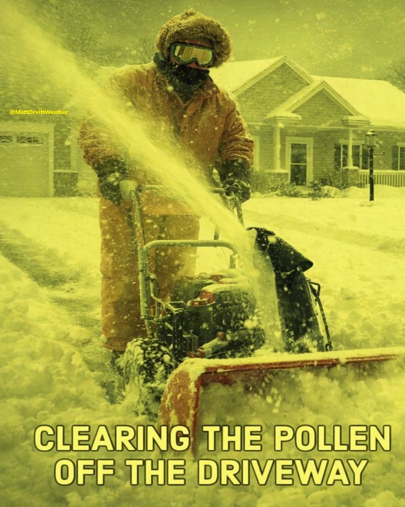 Matt Devitt tweet media