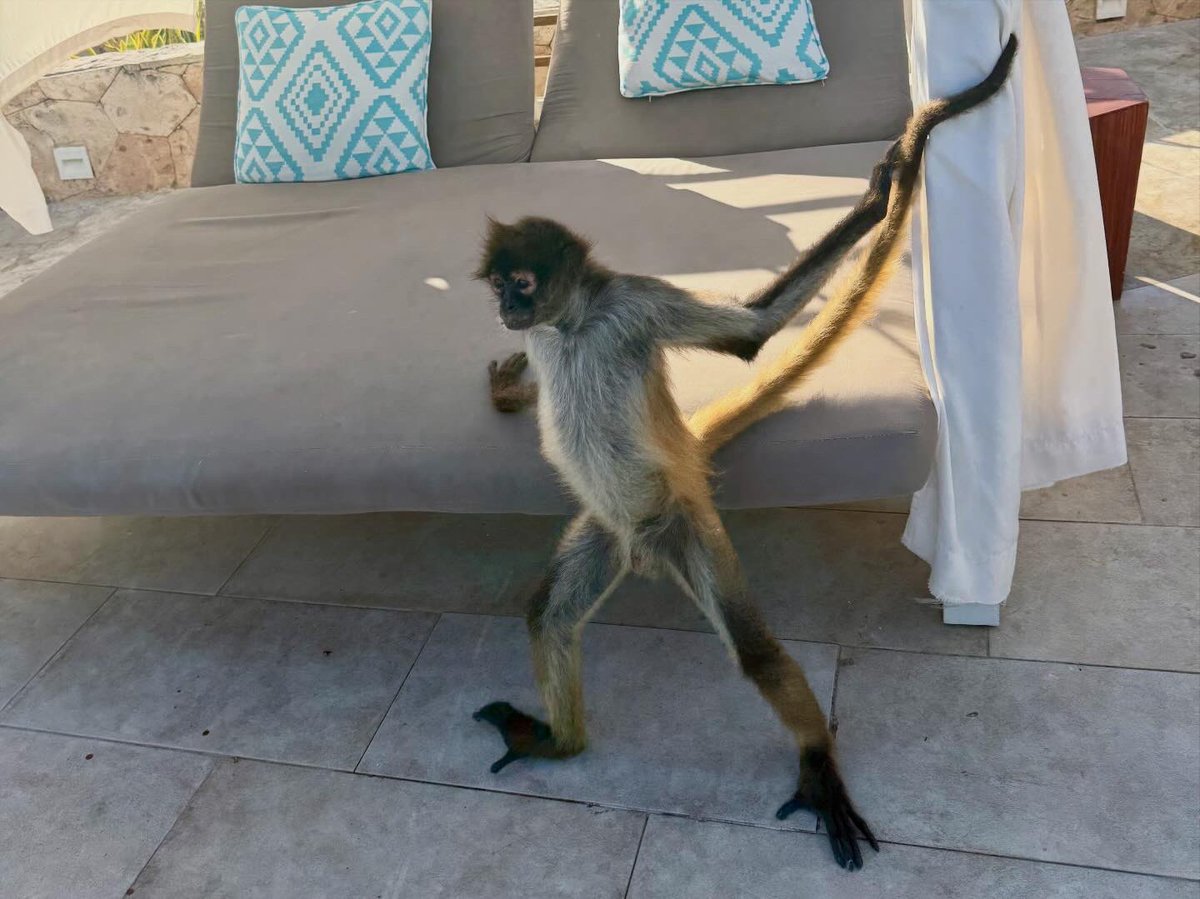 Rob Hartill tweet media