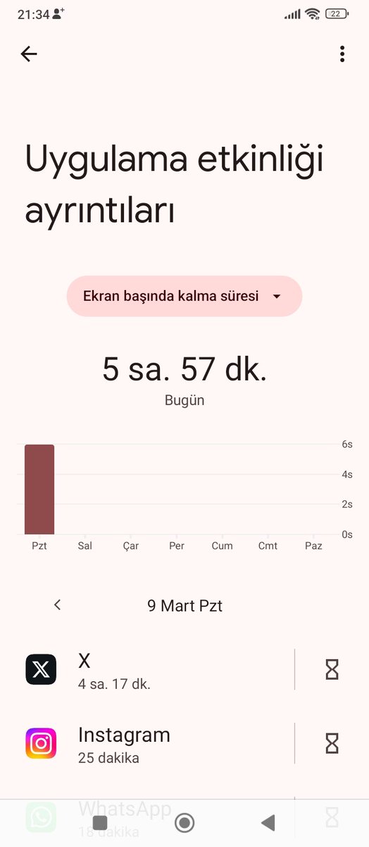 aminakoyim hayat bitti