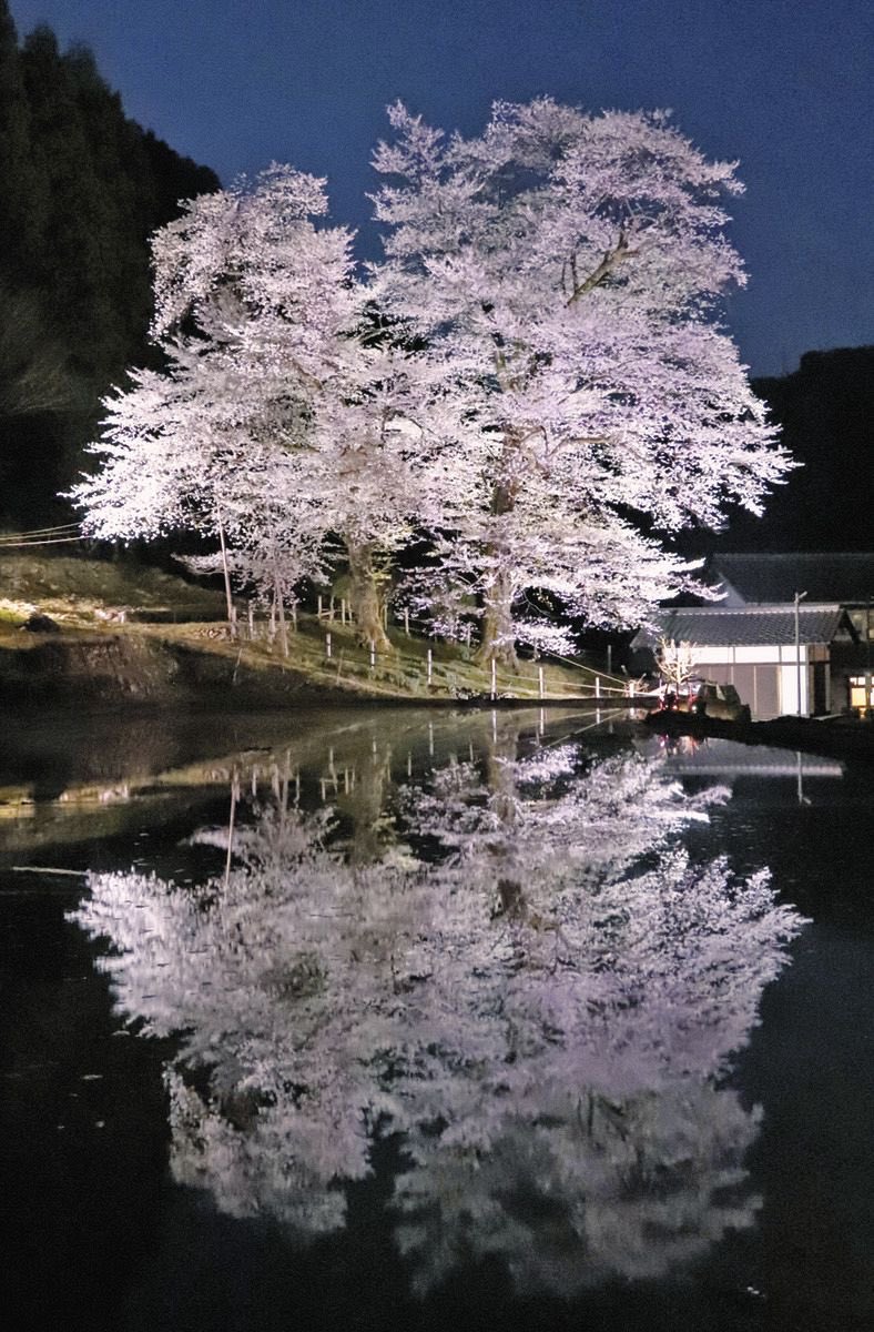 やすかれん（心から感謝です） tweet media