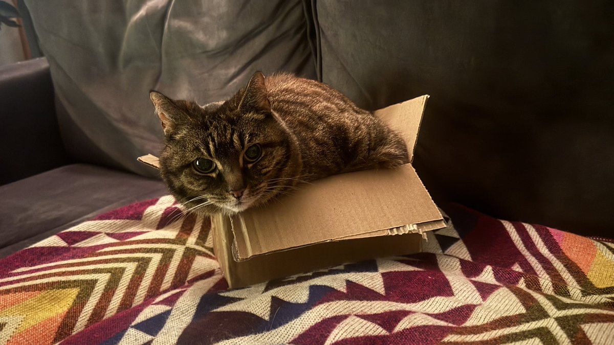 Daniëlle 💍 🎨 (D✤L) ♐️ tweet media