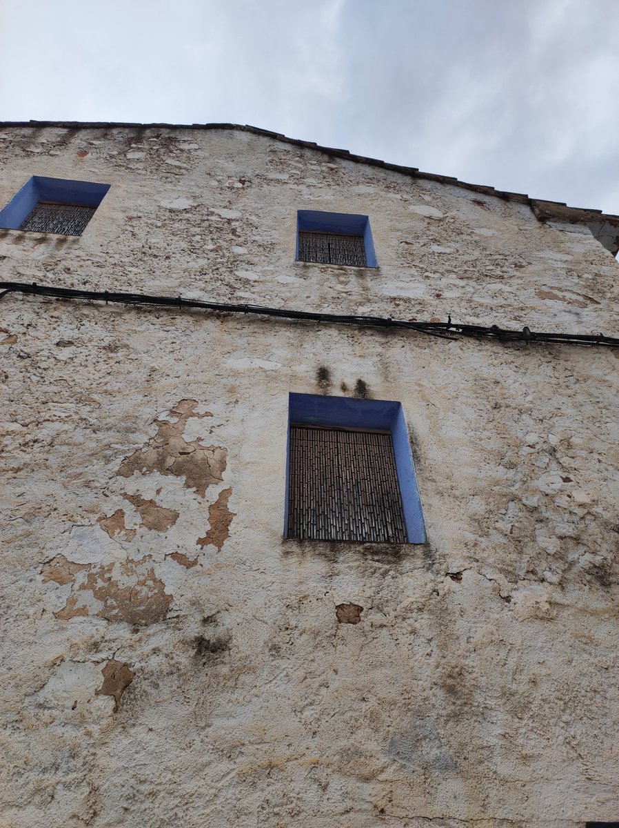 Cortines de canuts vegetals (tal volta, baladre) a la Serra d'Espadà.
Poques en van quedant.