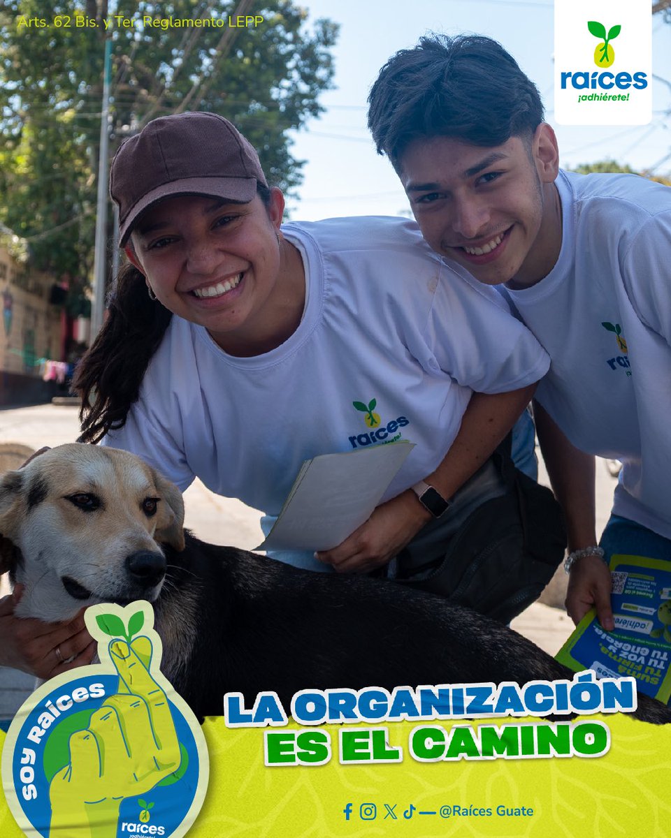 Raíces 🌱 tweet media