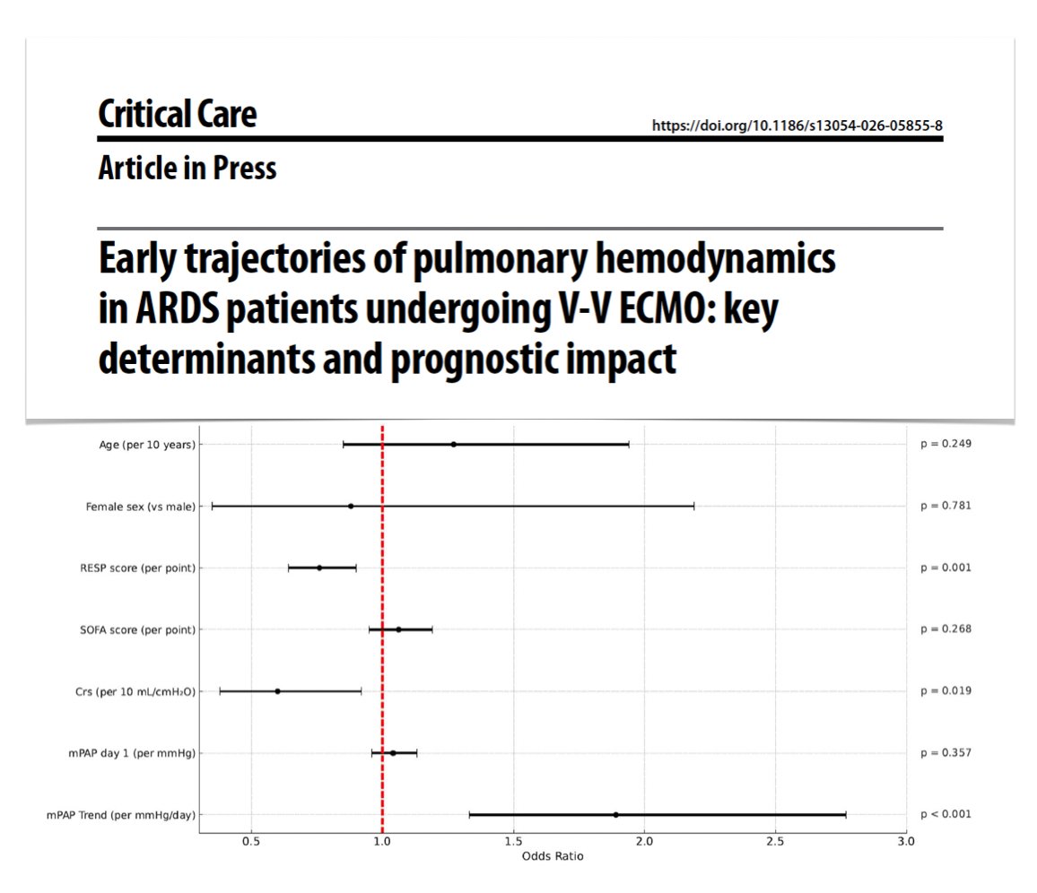 M Velia Antonini tweet media
