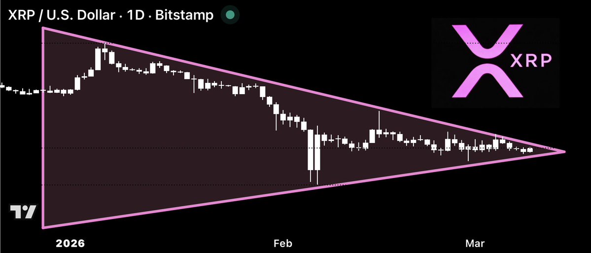 CryptoBull tweet media