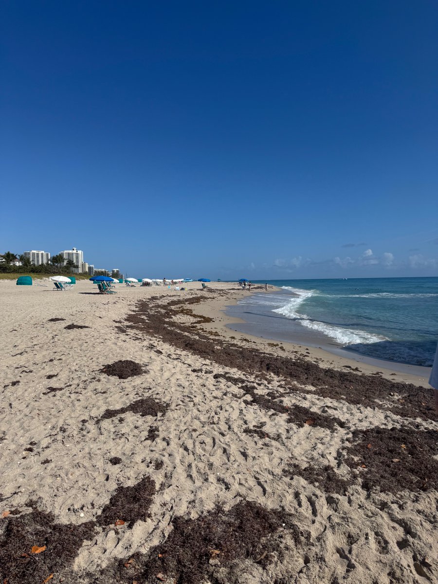 Jeff Clements tweet media