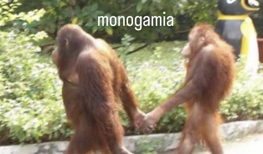 piña sin pizza (@skereunpesado) on Twitter photo 