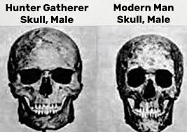 Metabolic Blueprint ⚡ tweet media