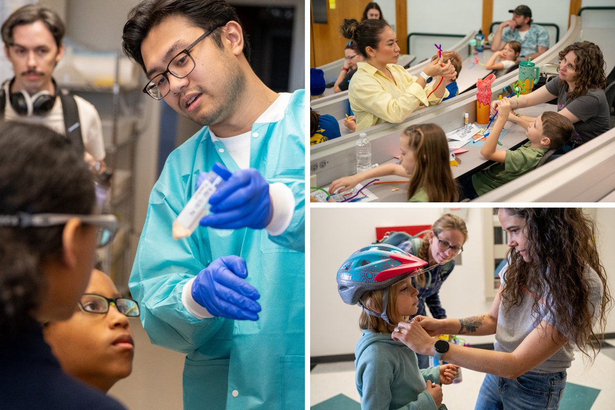 UF McKnight Brain Institute tweet media