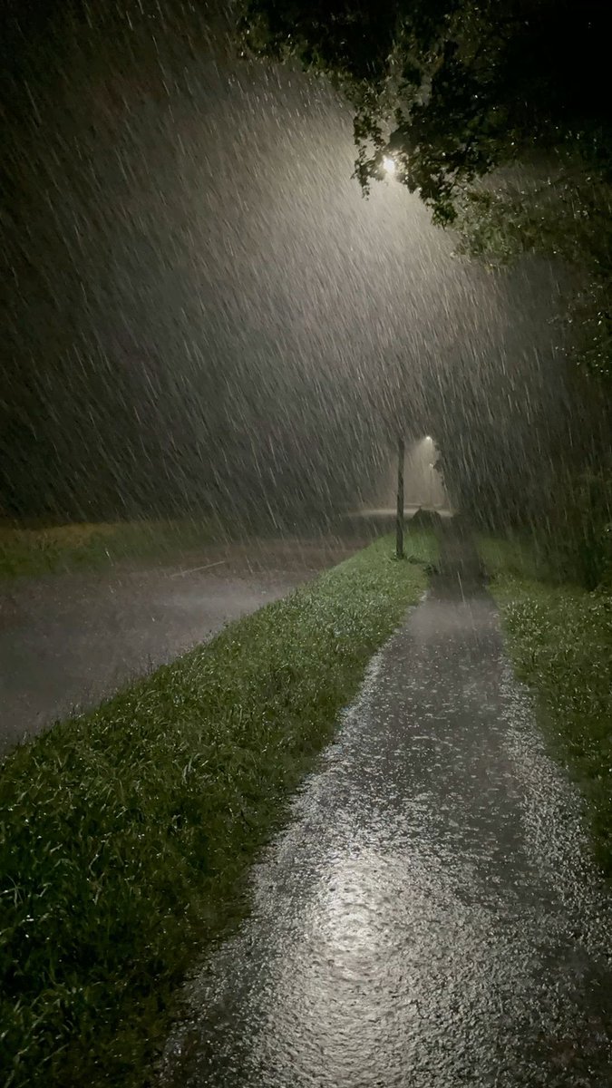 𝒆𝒍𝒚𝒓𝒂 tweet media