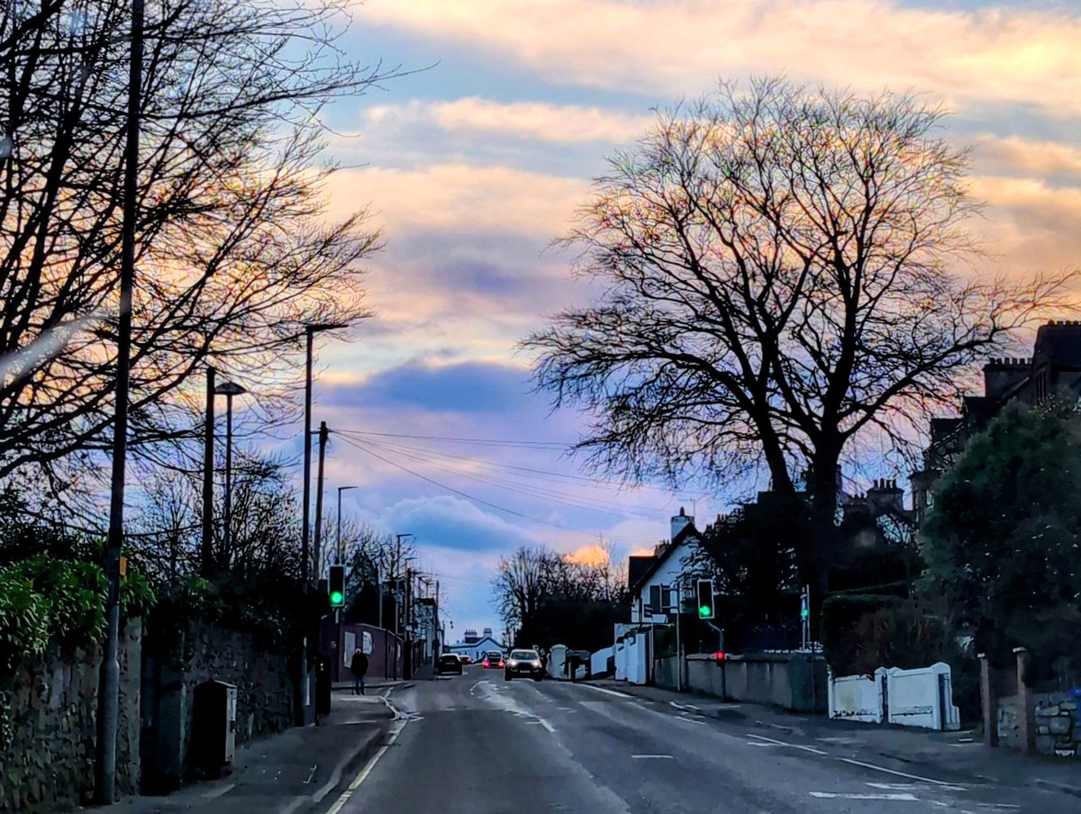 Anne Kelly ⛔NO DMs⛔ unless I know or follow you. tweet media