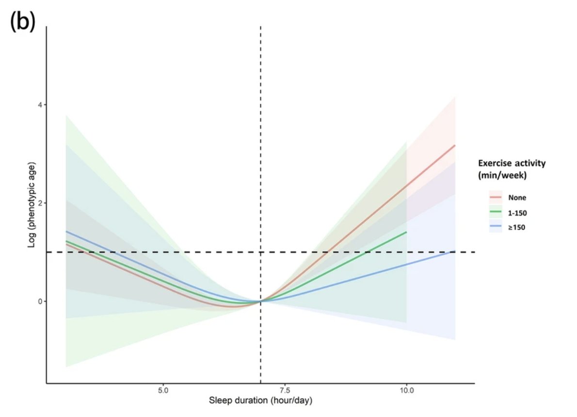 Yüksel Ürün tweet media