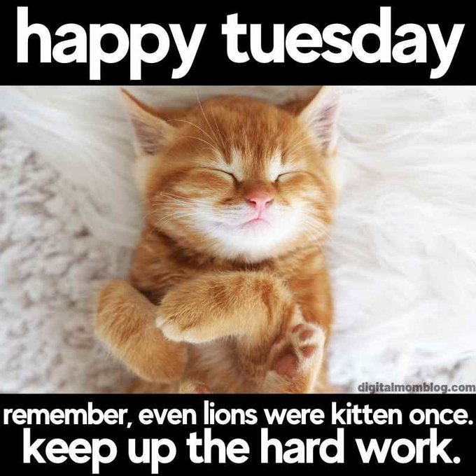 Nemoralis86's tweet photo. This is a Public Service Announcement

All #writers in the #WritingCommunity are called upon to self-promote on this #ShamelessSelfpromoTuesday in today's #writerslift

All participants shall be followed and retweeted

Remember always: We all lift together https://t.co/tkrX6Utu5O