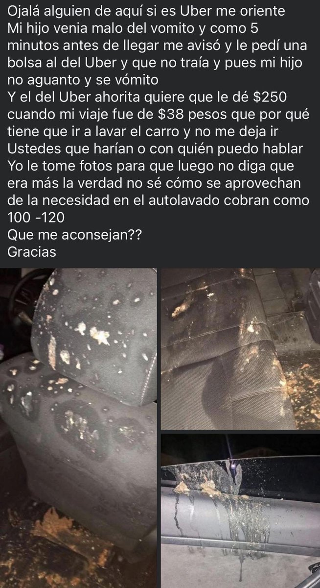 🇲🇽 México Mágico ✨ tweet media