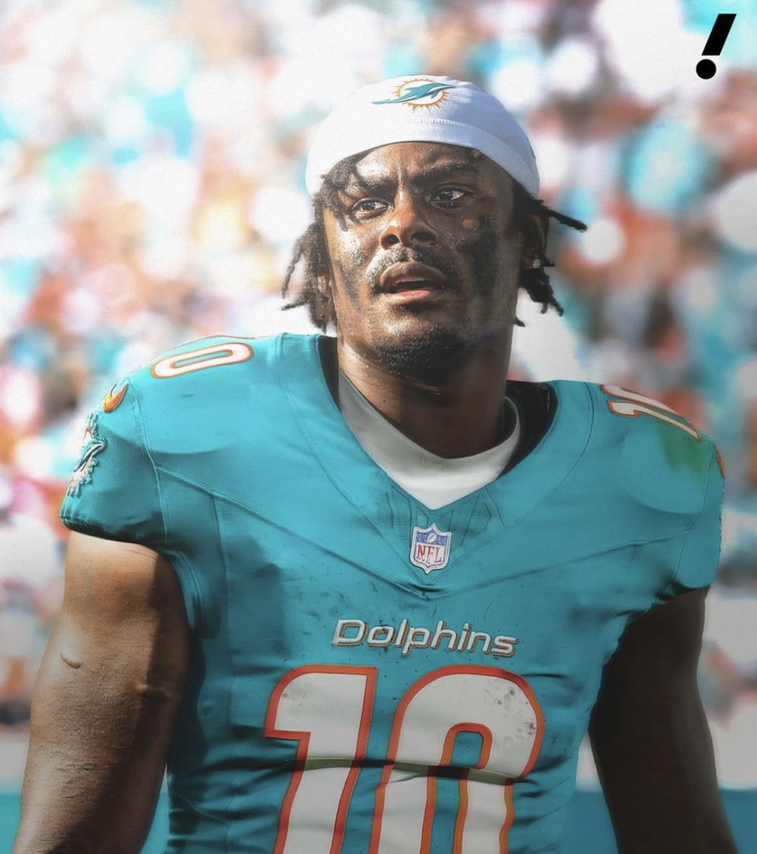 Dolphin Nation tweet media