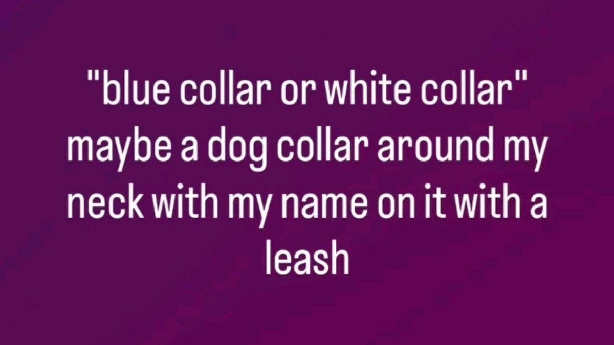 𐂯 your mutt 𐂯 tweet media
