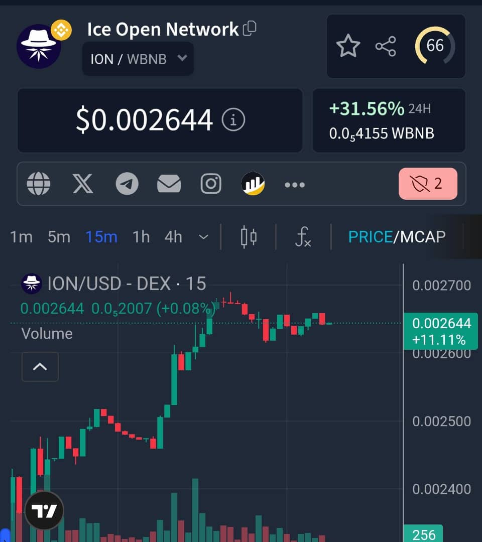 Jackie Necton 🔶BNB tweet media