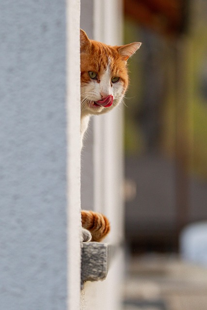 Jen Johnson tweet media