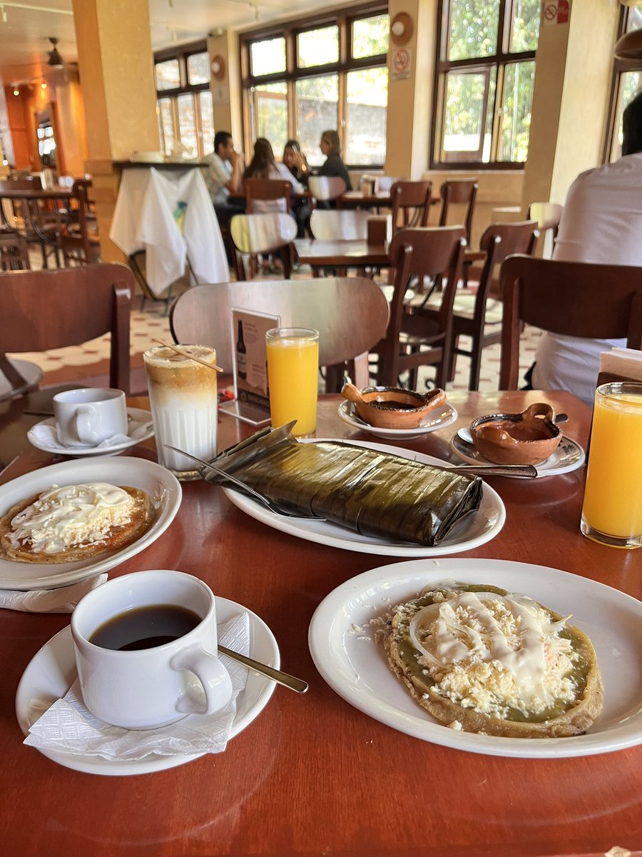 Esto y no saber nada de las ambiciones de los poderosos de este mundo.