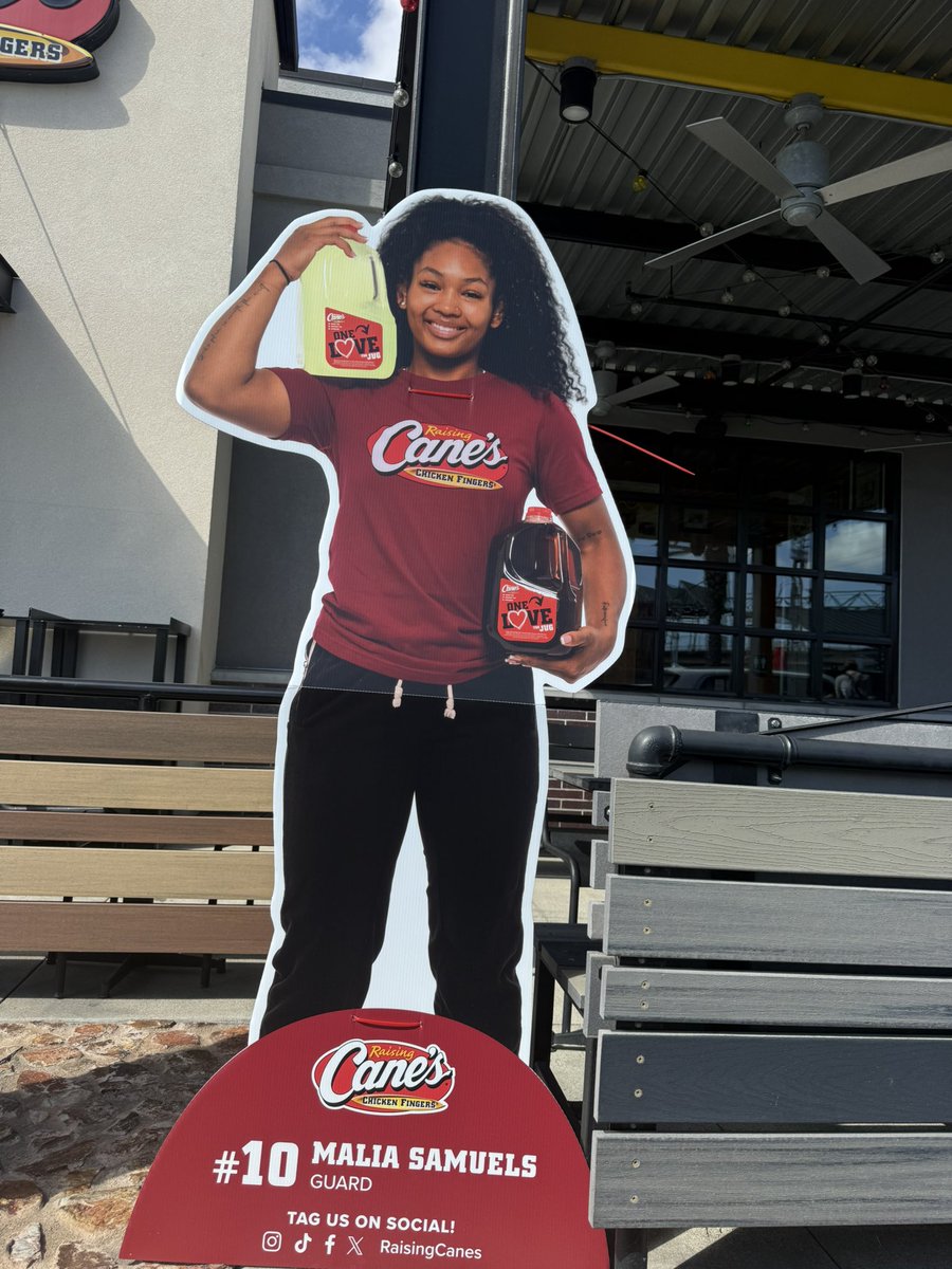 David Mendez-Yapkowitz tweet media