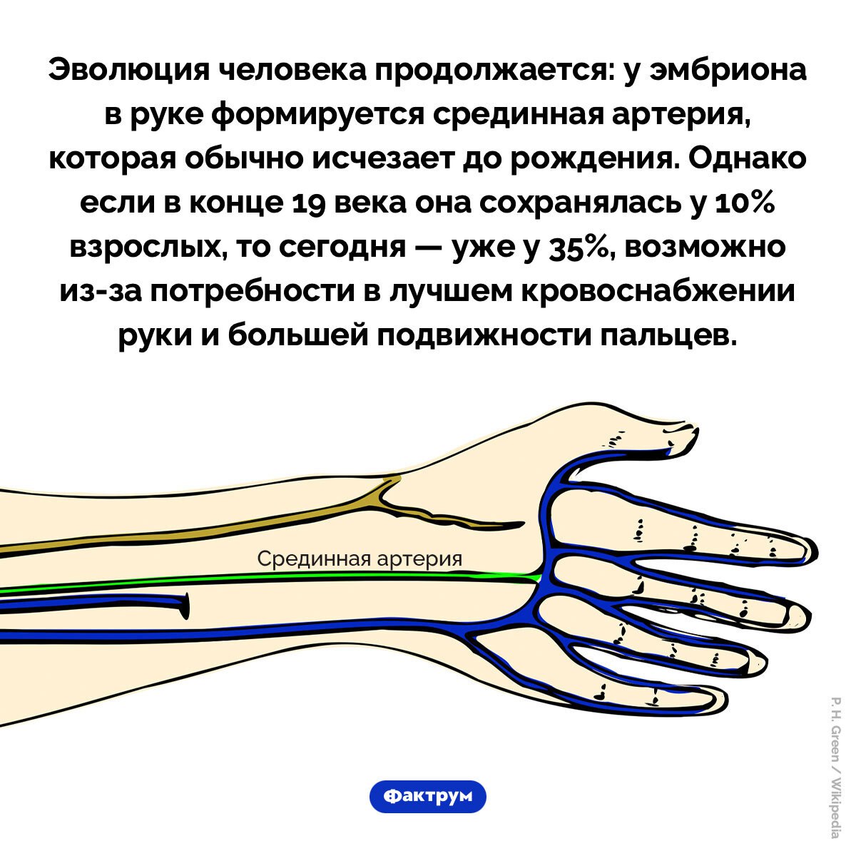 Garaev Ruslan (@garaevruslan03) on Twitter photo 