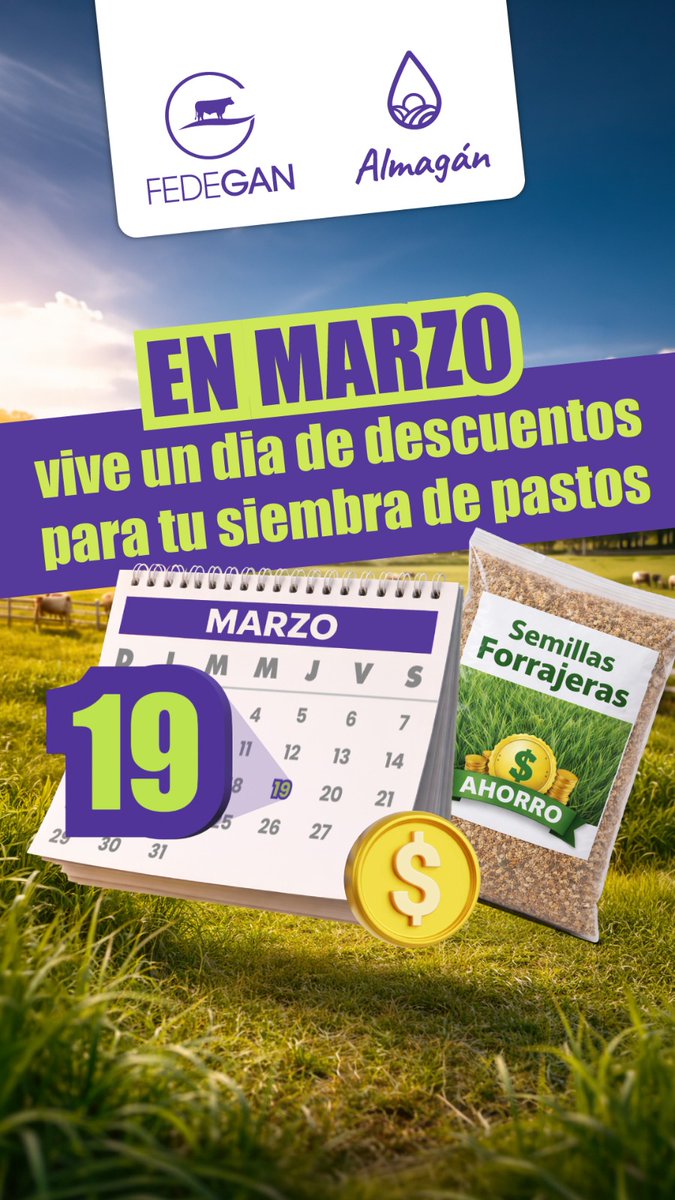 Plaguachica tweet media