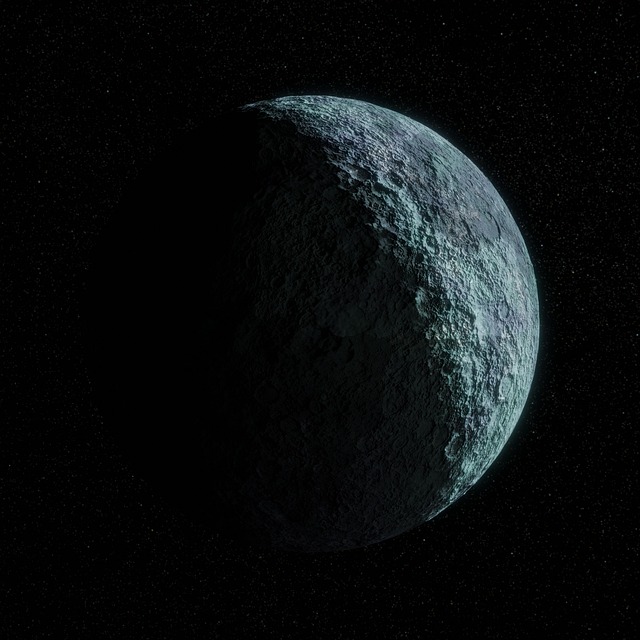 David Traylor tweet media