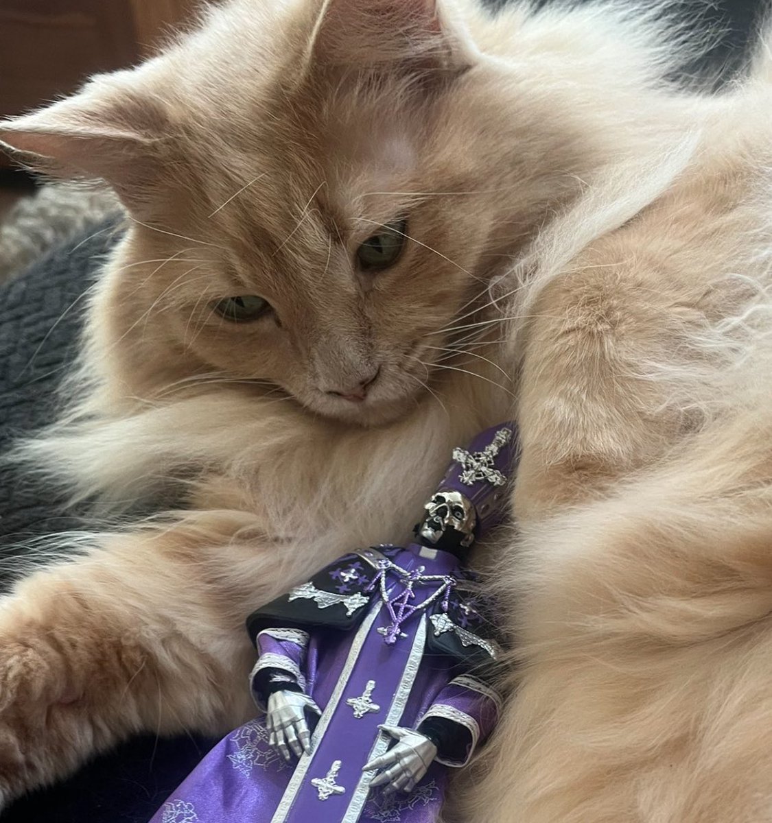 🦇Jul🌙 post-tour perpetuhusband tweet media