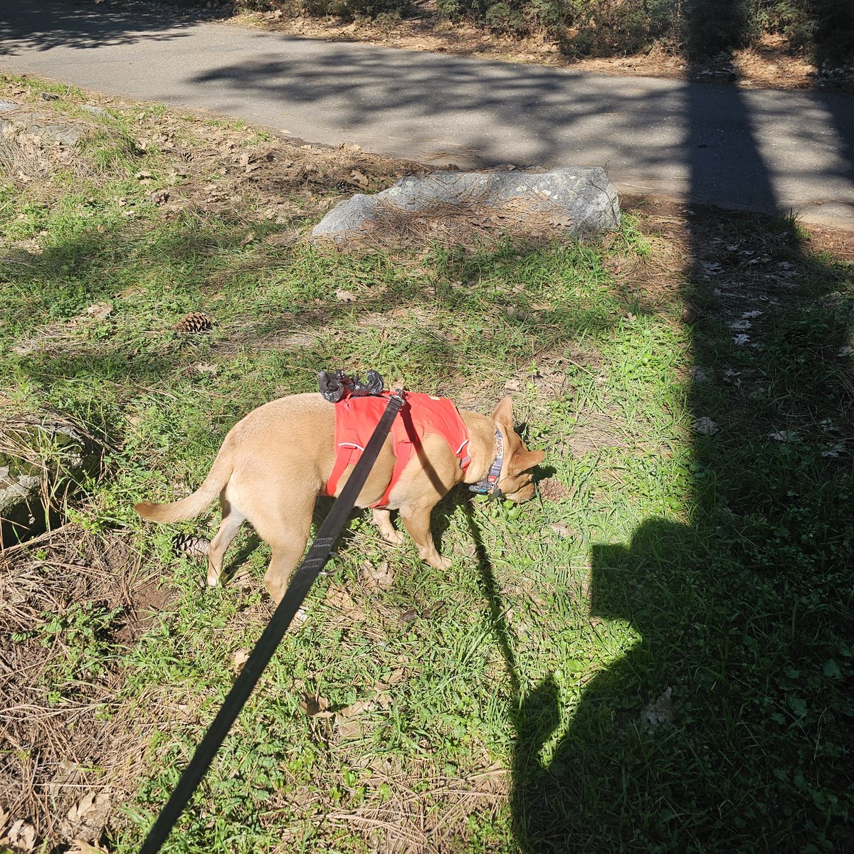 ⛦ (Ky) Kyrus Frei tweet media