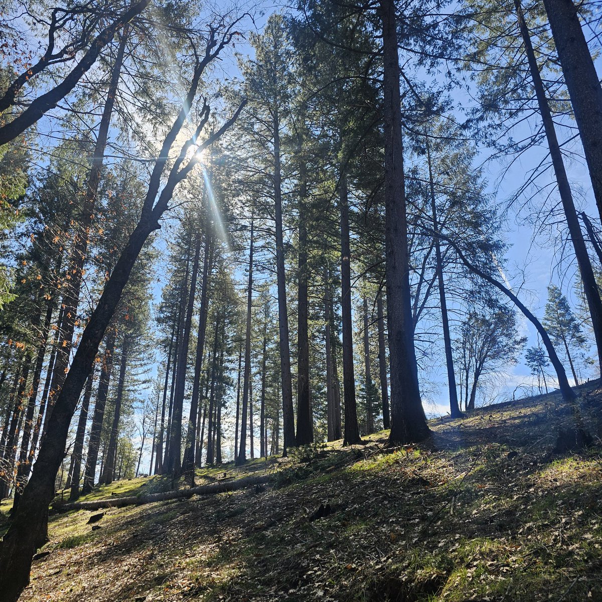 ⛦ (Ky) Kyrus Frei tweet media