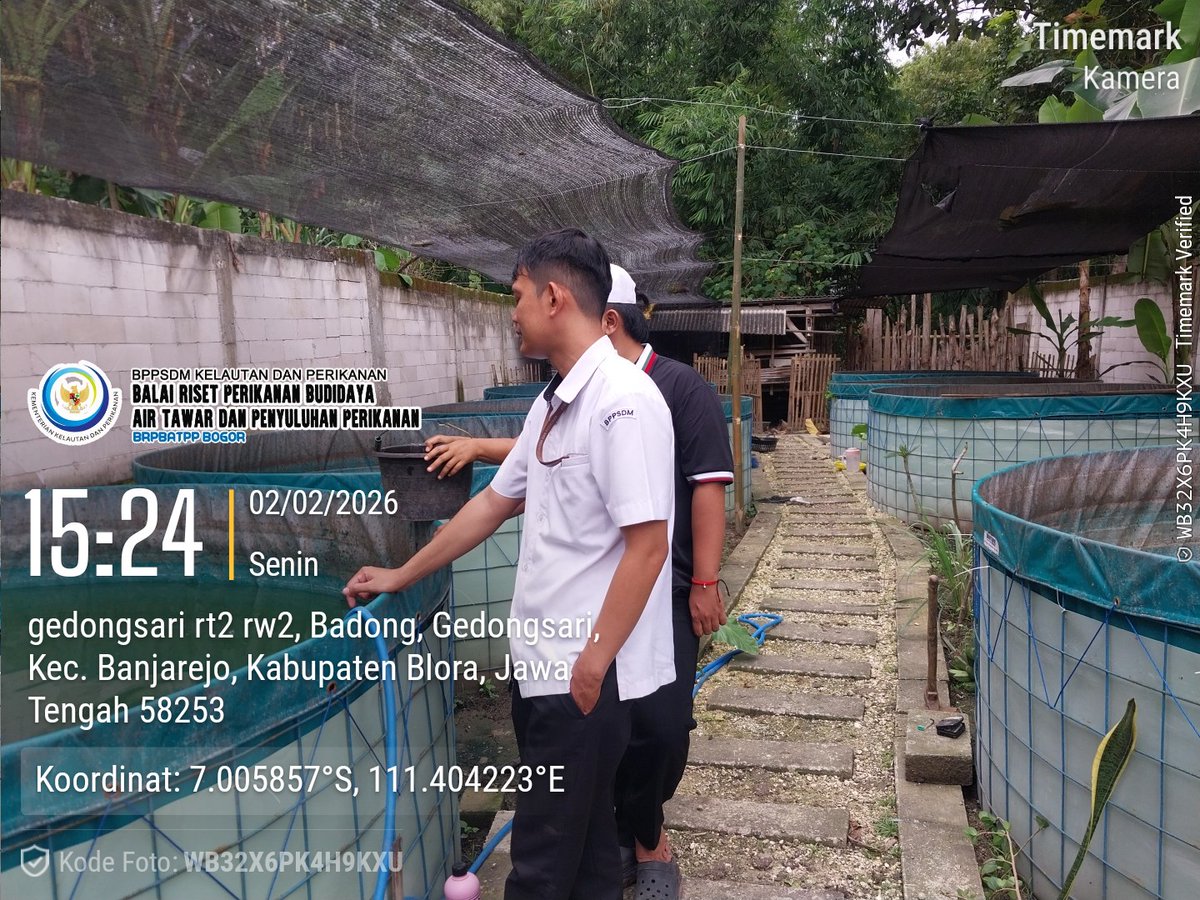 Firman_discuss's tweet photo. Senin(2/2/2026) Luhkan Kab.Blora, Muhammad Firman, https://t.co/o9Uf13QFib.Pi melaksanakan pendampingan akses informasi berupa sosialisasi prosedur pengajuan CBIB di Pokdakan Badong Dadi Muyo Tiga https://t.co/qaZBfvWMXL