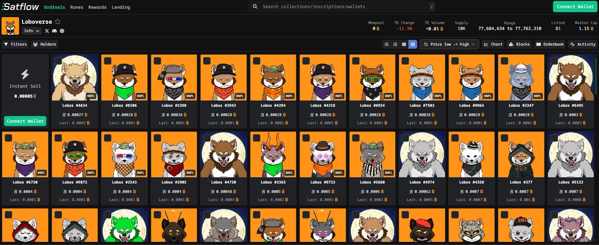 LOBO•THE•WOLF•PUP tweet media