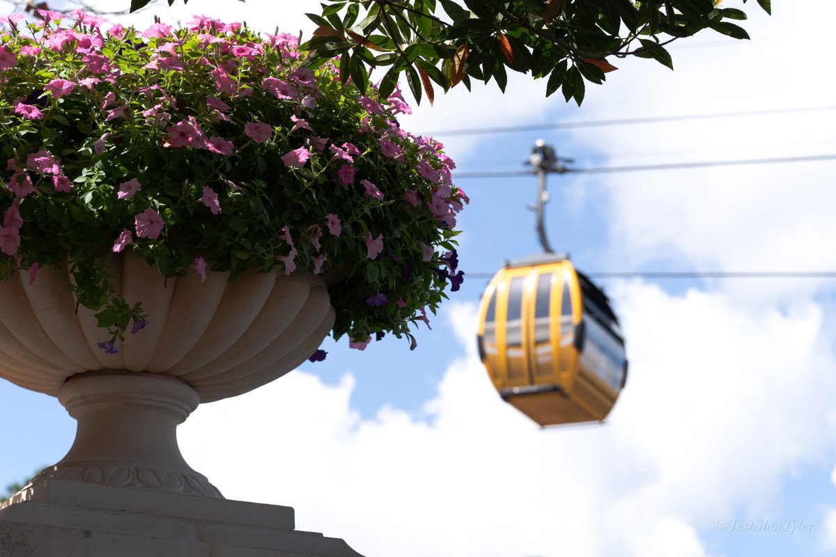 Test Shot Tyler tweet media