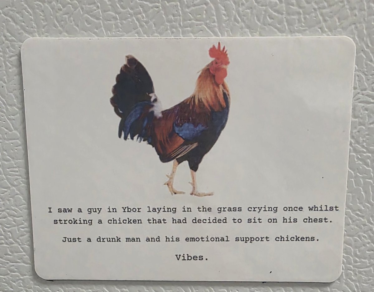 AlliMeyle's tweet photo. Day two of turning other people's social media posts into things. https://t.co/0lrC00XwTa