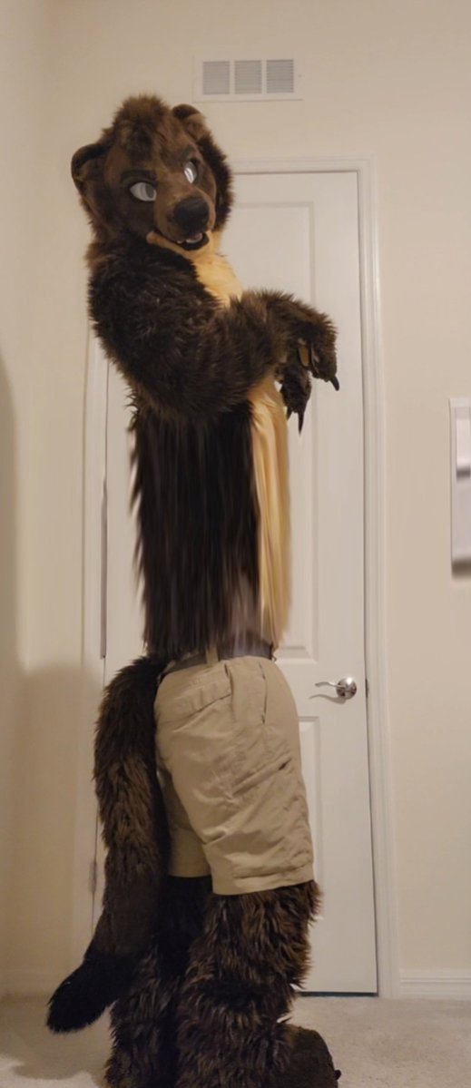 Drifter 🌲🐾 🔜 BWS, Megaplex tweet media