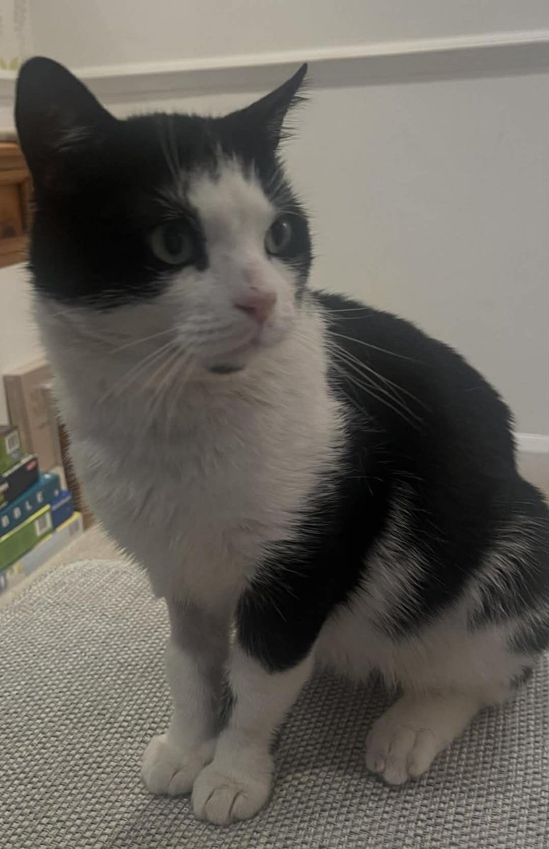 Solihull Updates tweet media