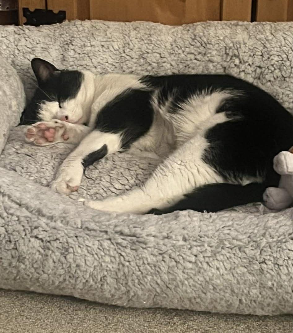 Solihull Updates tweet media