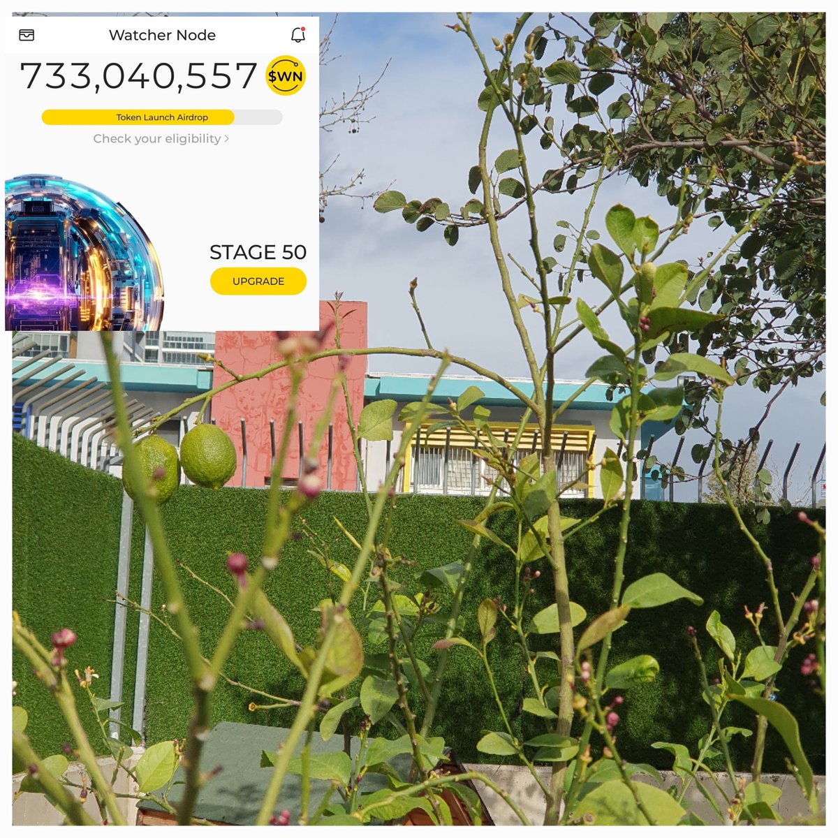 Launching Watcher  to secure <a href="/DeNetPro/">DeNet</a> storage network. Live from Bayraklı, İzmir, Turkey! #WatchersEverywhere