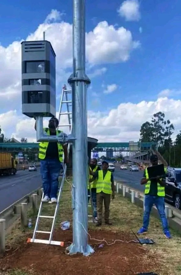 Lion of the Mountain tweet media